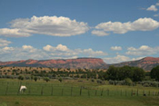 National Parks Gallery