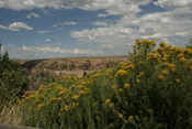 National Parks Gallery