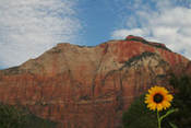 National Parks Gallery