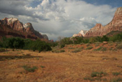 National Parks Gallery