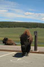 National Parks Gallery