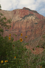 National Parks Gallery